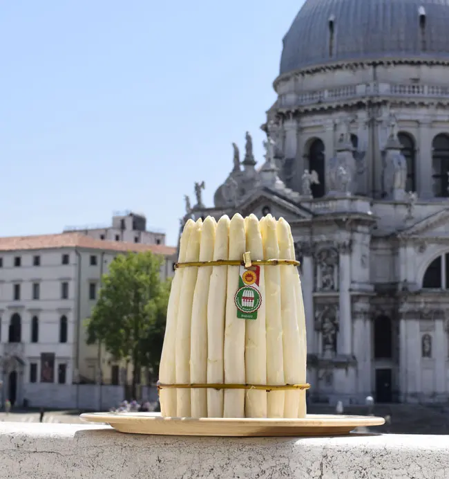 Asparago Bianco di Bassano