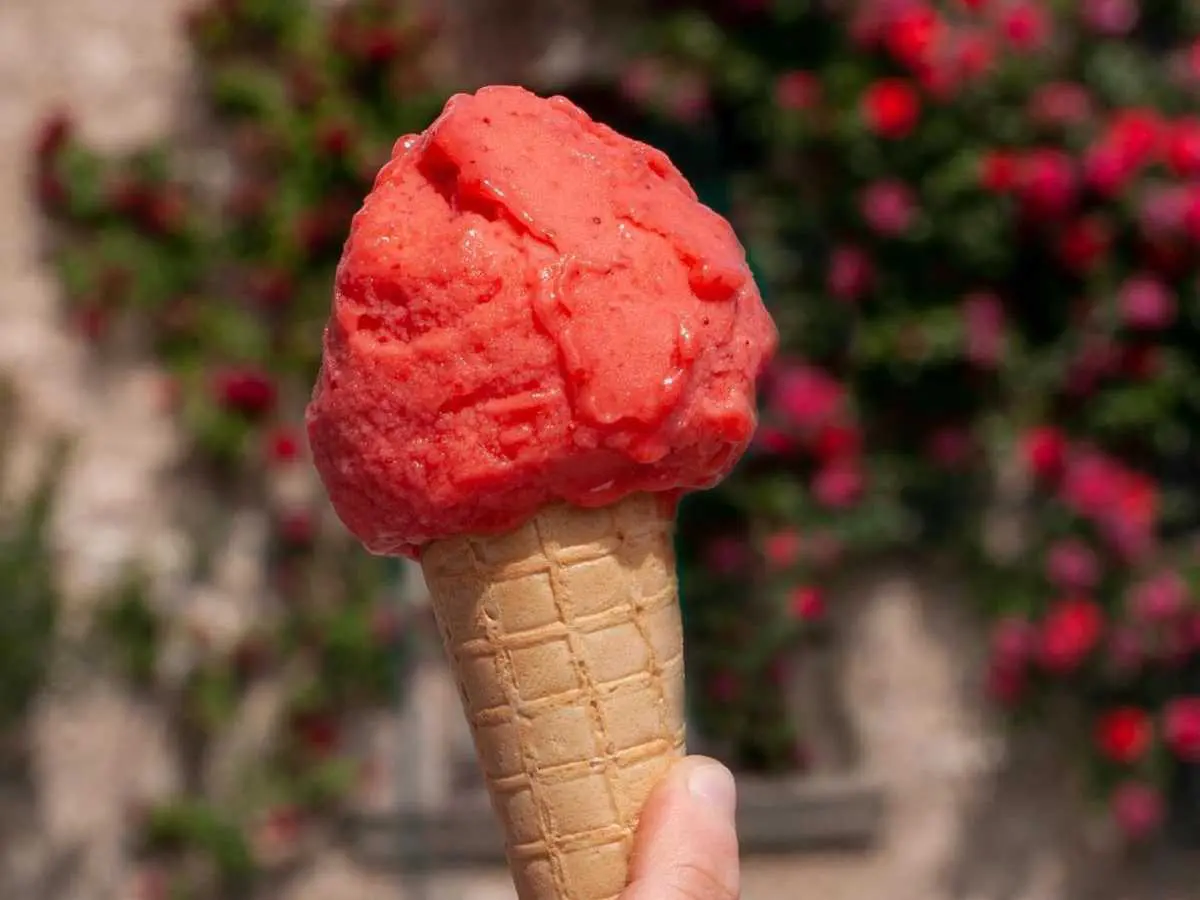 cono gelato di Pikko Gelato a Verona