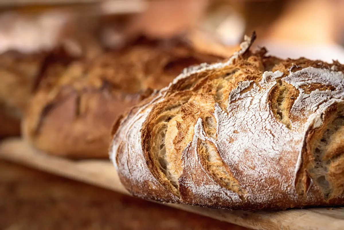 La nuova Guida Pane e Panettieri d’Italia del Gambero Rosso: storie di chi impasta fuori dal sistema La nuova Guida Pane e Panettieri d’Italia del Gambero Rosso: storie di chi impasta fuori dal sistema