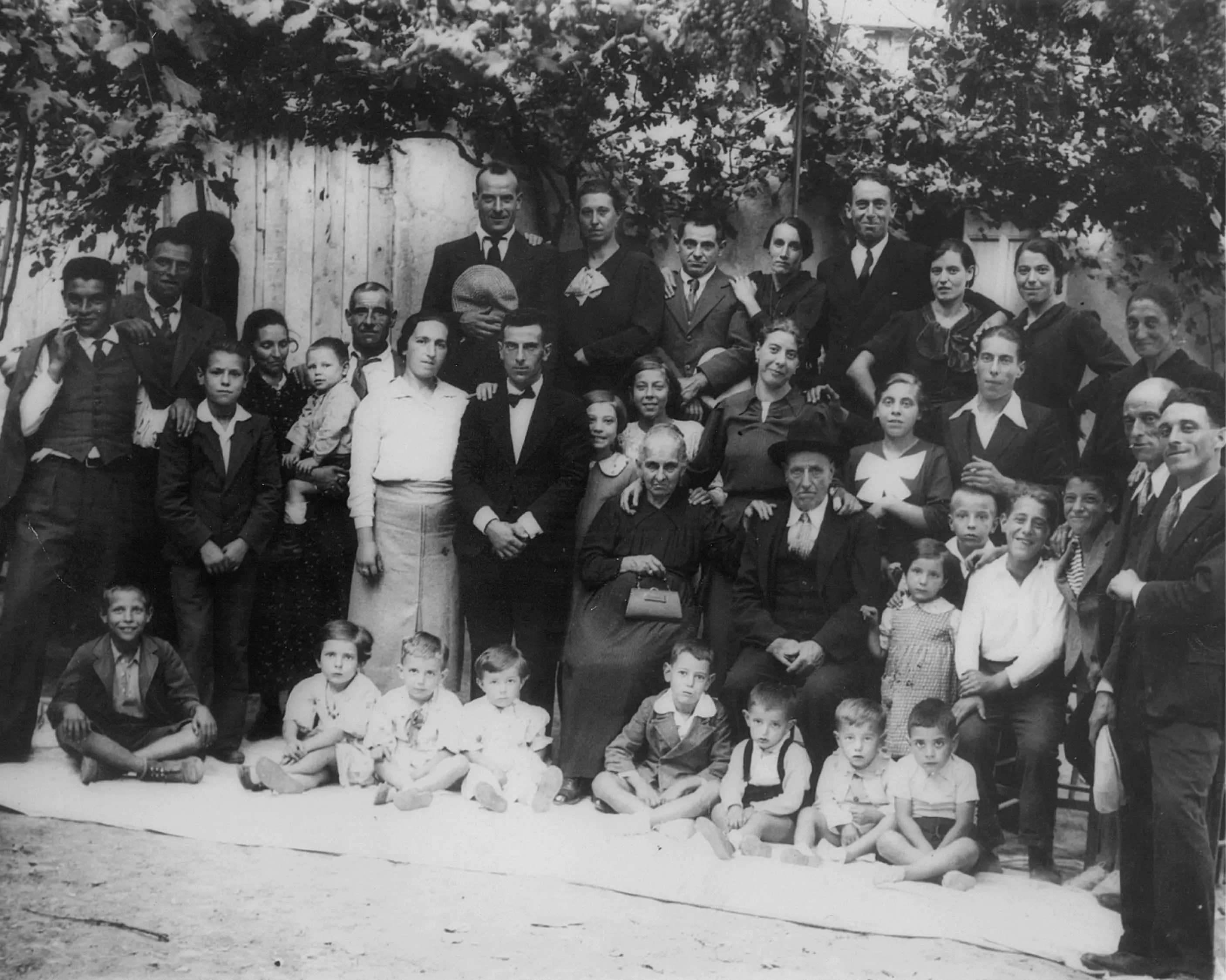 la famiglia ligure che da cinque generazioni custodisce l8217oliva taggiasca