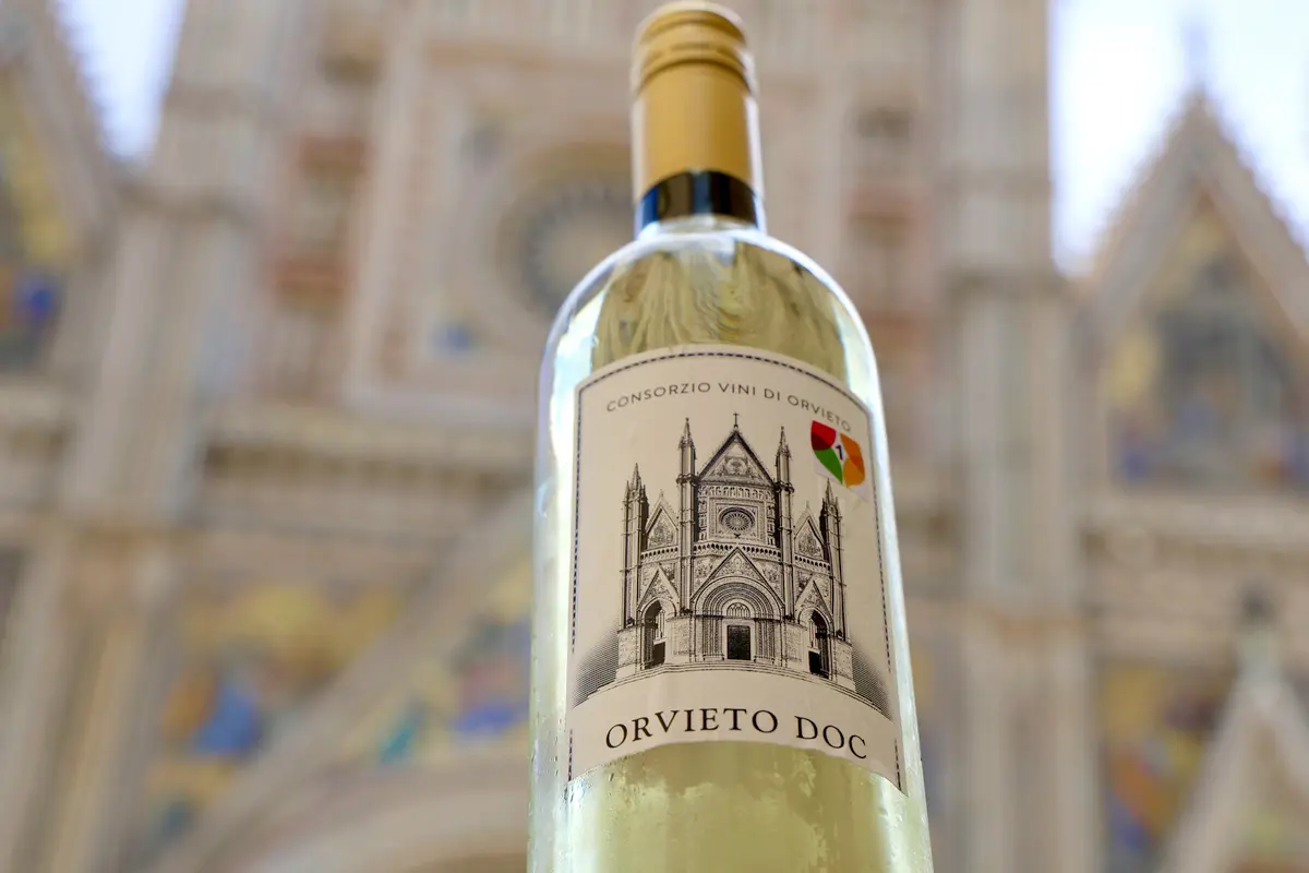 Arriva la versione low alcol dell’Orvieto Doc: vini da 10 gradi per rispondere alle nuove richieste di mercato