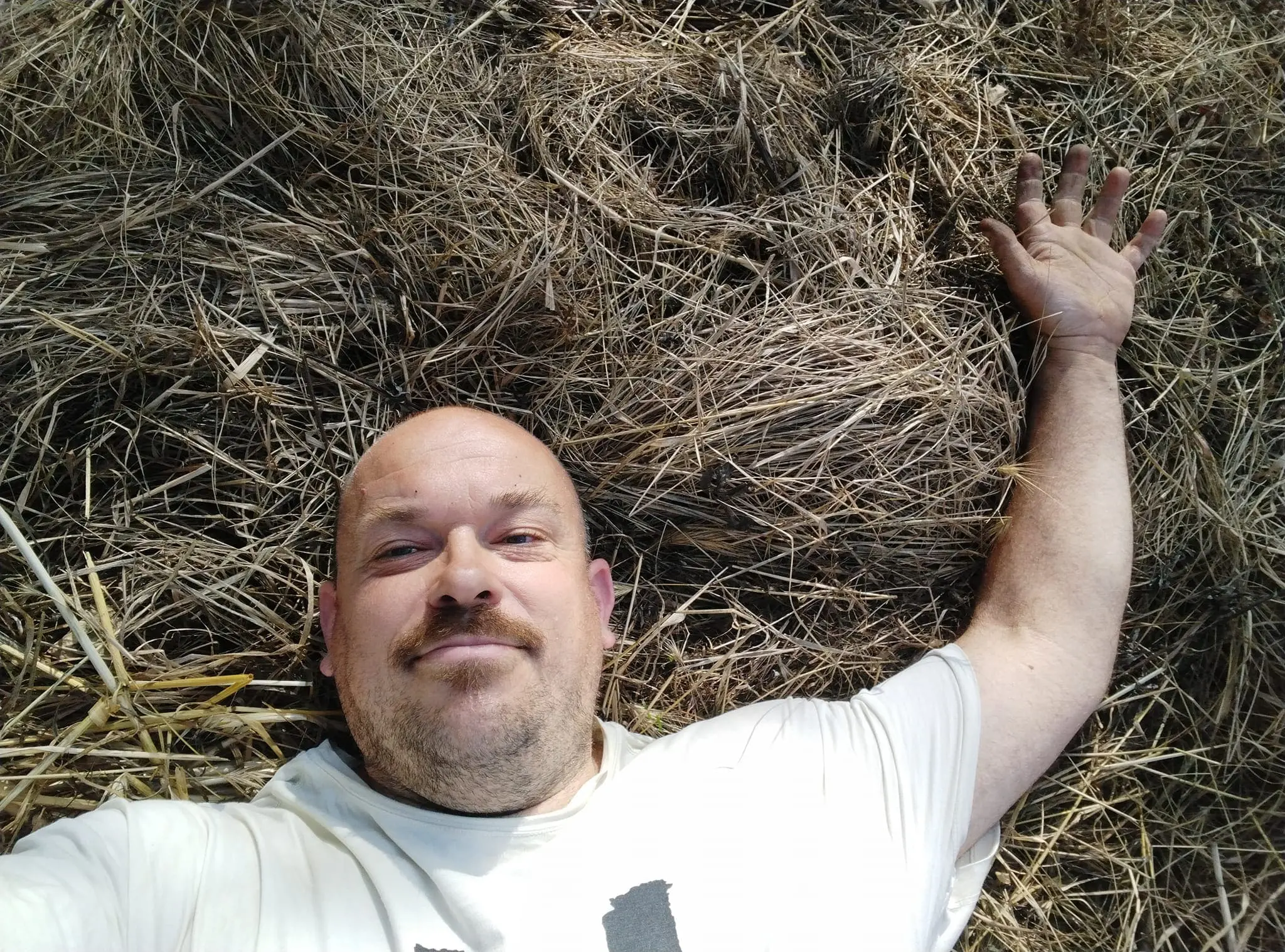 La fattoria vegana che coraggiosamente si sta facendo strada in una zona legata alla caccia La fattoria vegana che coraggiosamente si sta facendo strada in una zona legata alla caccia