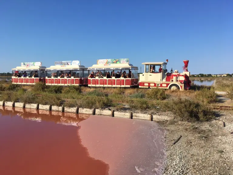 Visita con il trenino nella Salina di Cervia (RA) - Foto di Cresia Bernabè