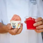 gelato e granita all'anguria di gelateria de coltelli a Pisa