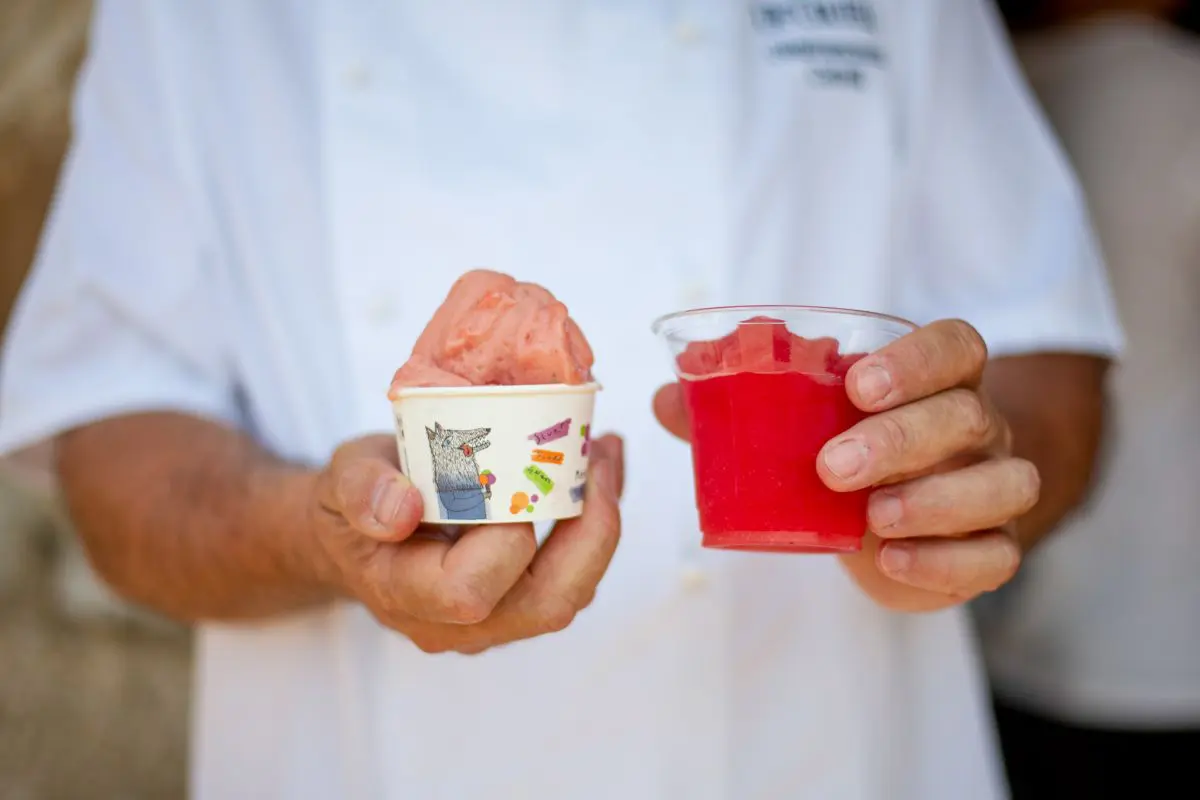 gelato e granita all'anguria di gelateria de coltelli a Pisa