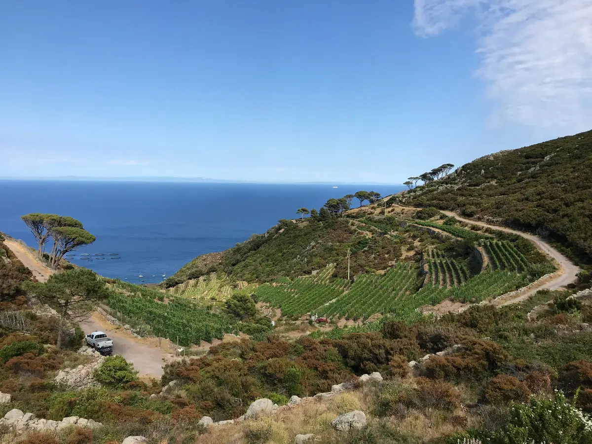 La nuova vita dell’isola di Capraia, uno scoglio in mezzo al mare ricco di frutti e prodotti della terra La nuova vita dell’isola di Capraia, uno scoglio in mezzo al mare ricco di frutti e prodotti della terra