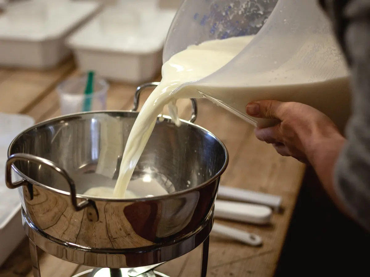 Il latte crudo potrebbe essere più sicuro di quello che pensiamo Il latte crudo potrebbe essere più sicuro di quello che pensiamo