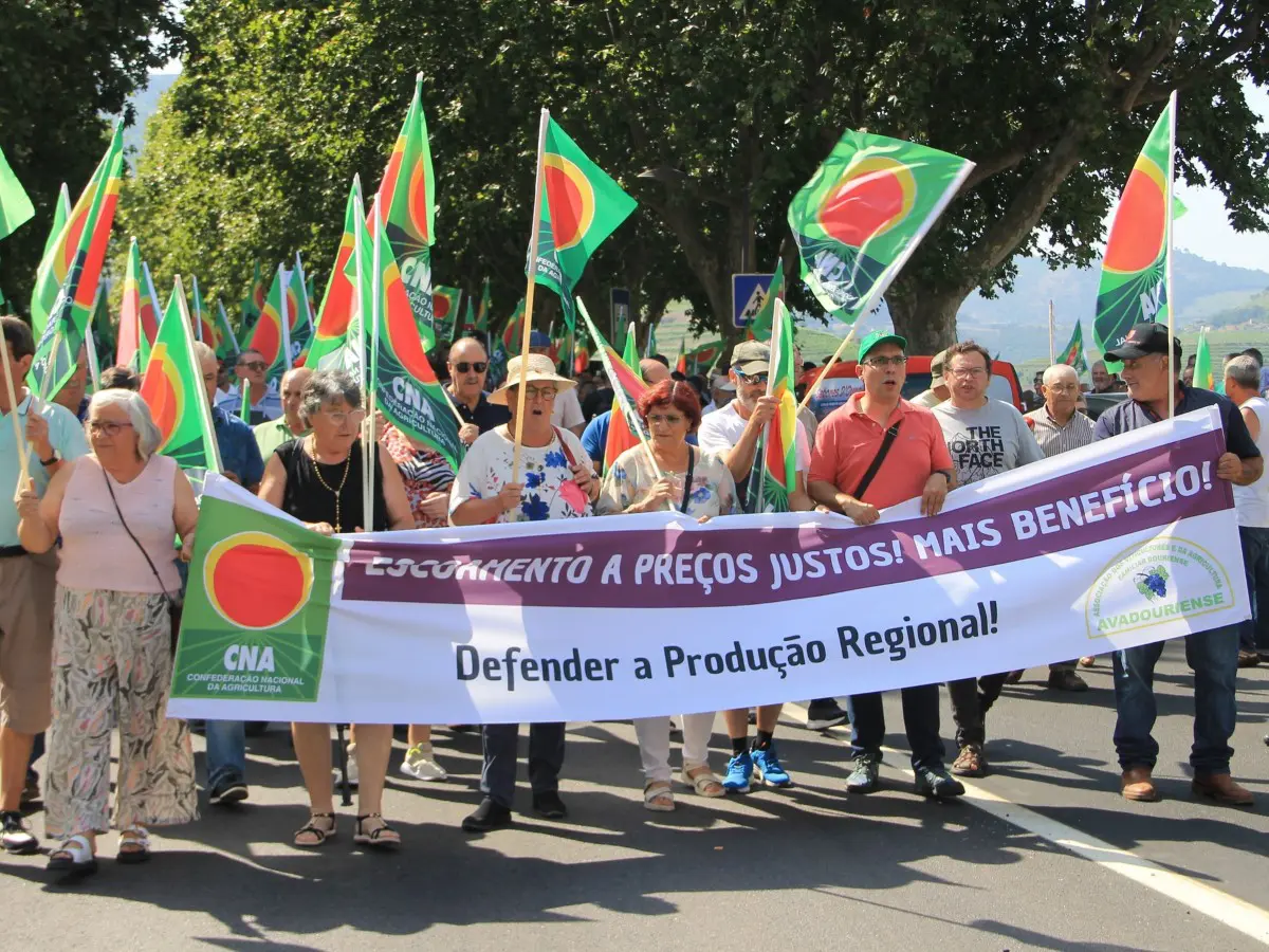 La crisi del vino colpisce il Portogallo: le proteste dei viticoltori del Douro La crisi del vino colpisce il Portogallo: le proteste dei viticoltori del Douro