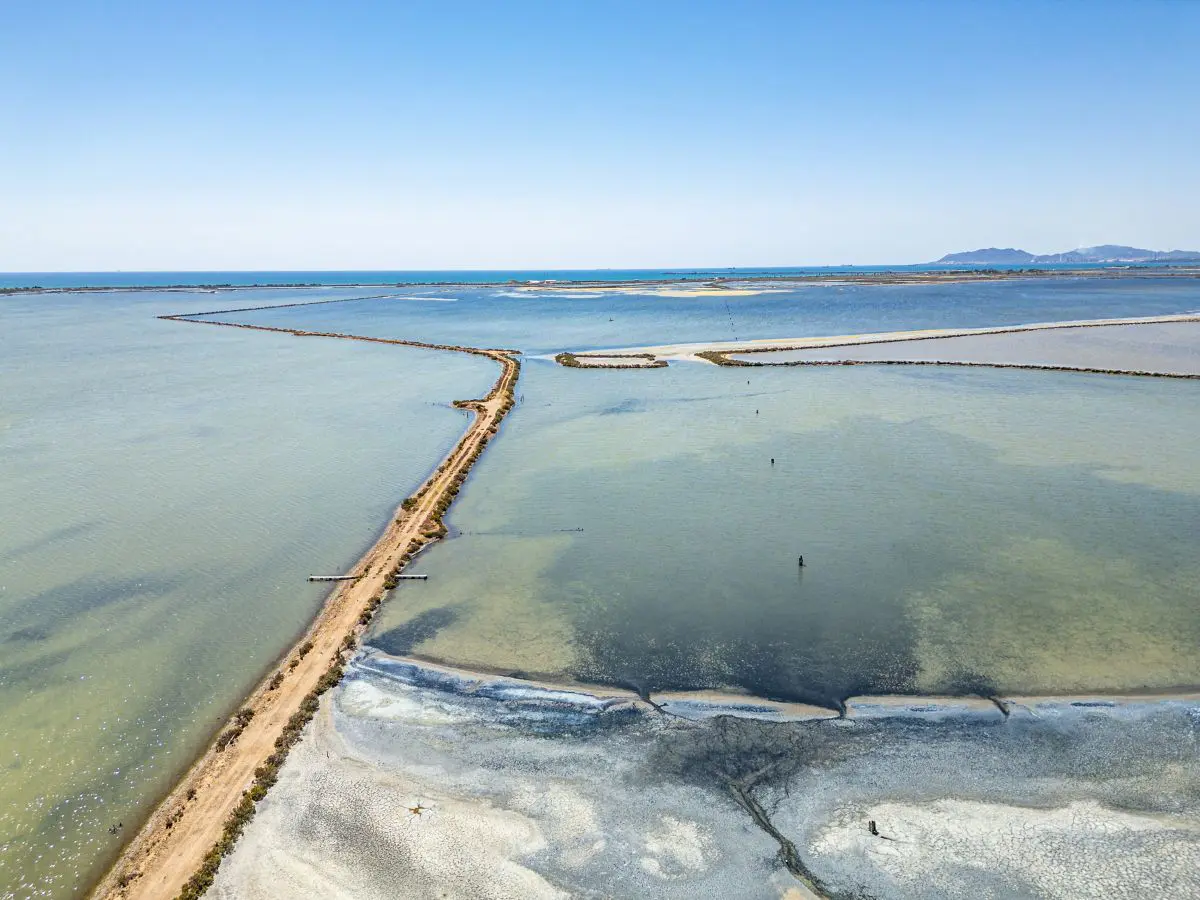 L’oasi con saline e fenicotteri da visitare alle porte di Cagliari