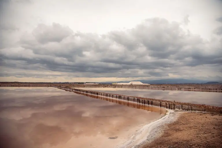 Saline Conti Vecchi - foto Alessandro Galimberti, FAI