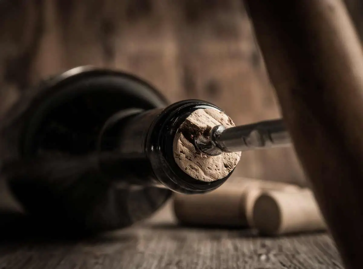 Perché la sostenibilità nel vino comincia dalla bottiglia Perché la sostenibilità nel vino comincia dalla bottiglia