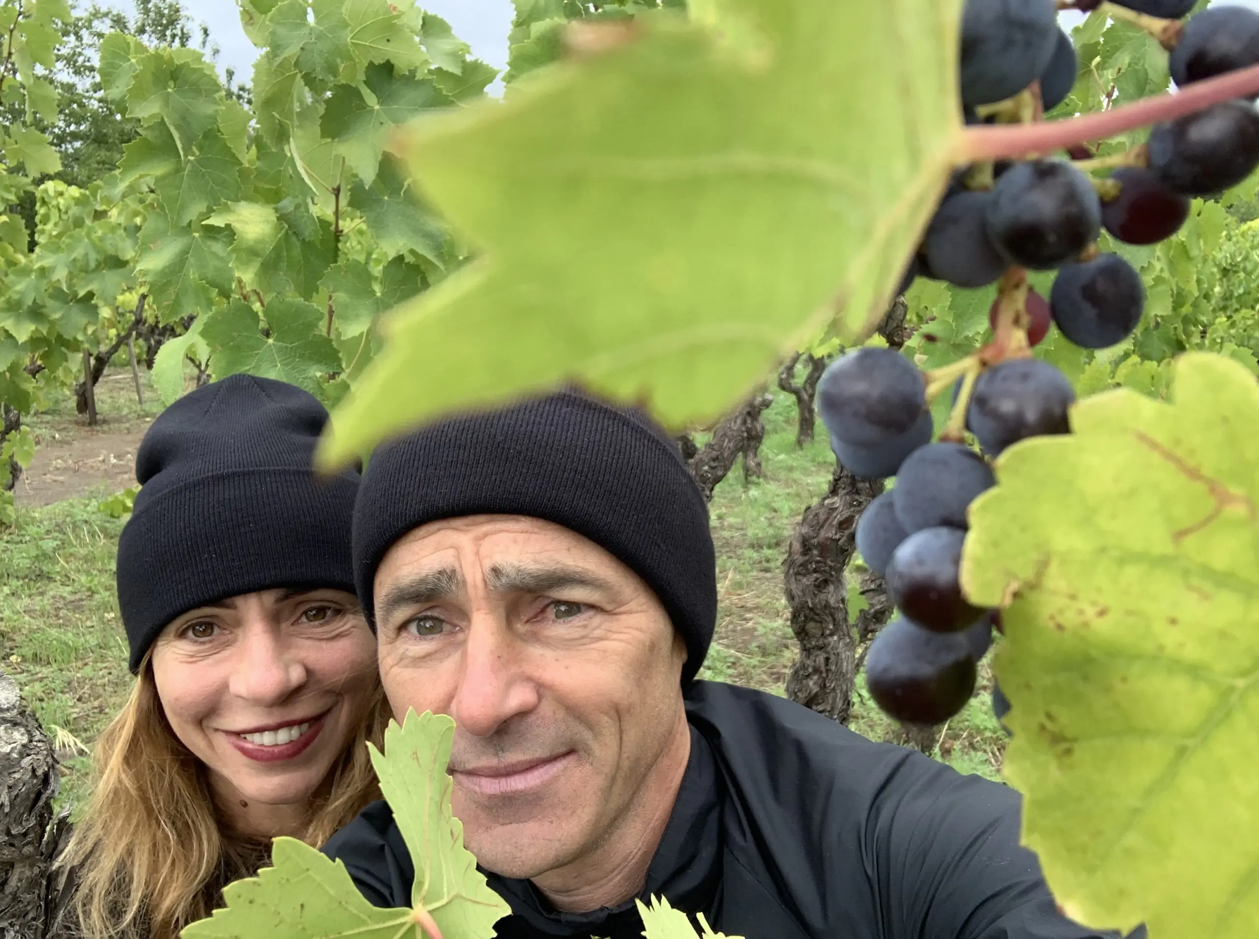 Dalla Valtellina alla Sicilia: la storia dei due nomadi del vino che quest’anno portano la loro “cantina” a Pantelleria Dalla Valtellina alla Sicilia: la storia dei due nomadi del vino che quest’anno portano la loro “cantina” a Pantelleria