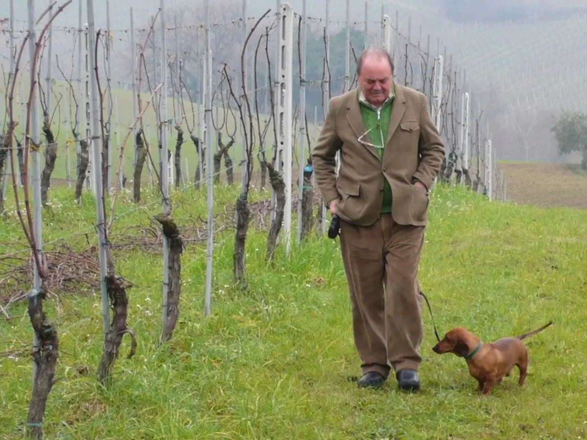 È morto Ampelio Bucci, il grande maestro del Verdicchio