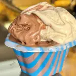 gelato forno orlando