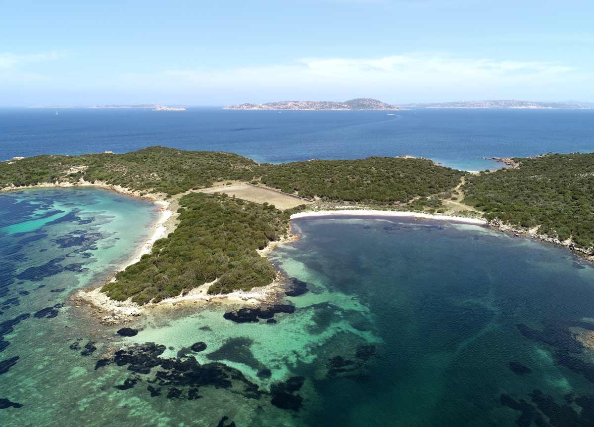 L’isola sarda quasi abbandonata tornata in vita (dove assaggiare ostriche e bere vino locale)