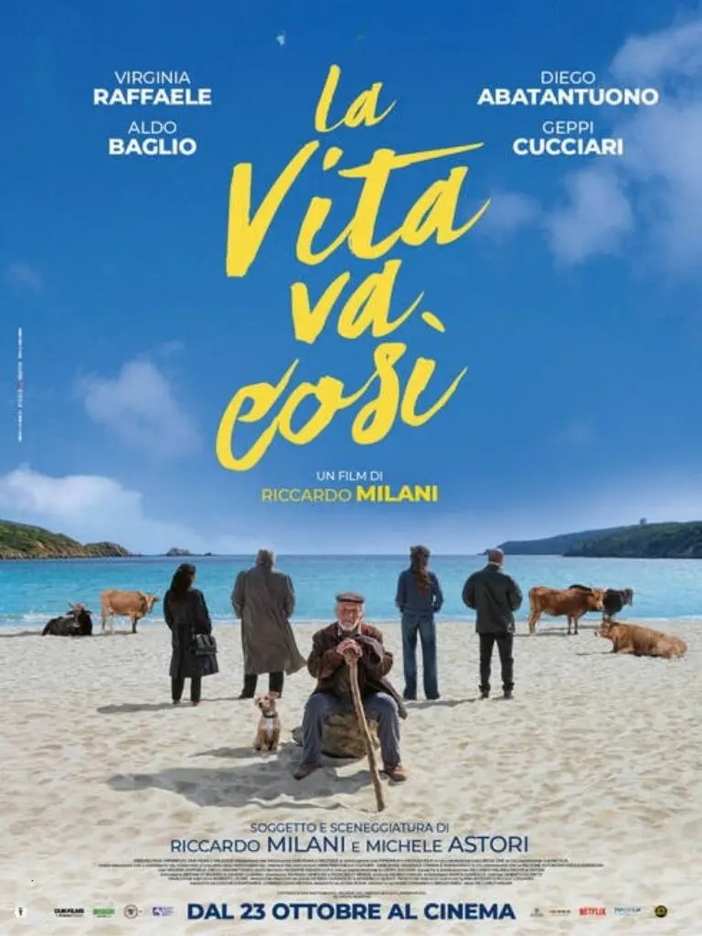 locandina La vita va cosi
