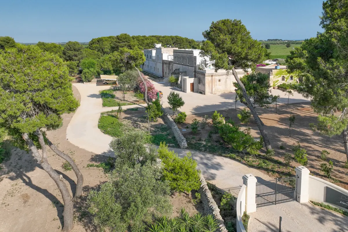 tommasi family estates compra le tenute di claudio quarta in puglia