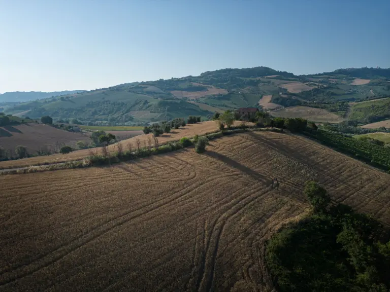 Molino Agostini paesaggio - Foto Idee di Marca