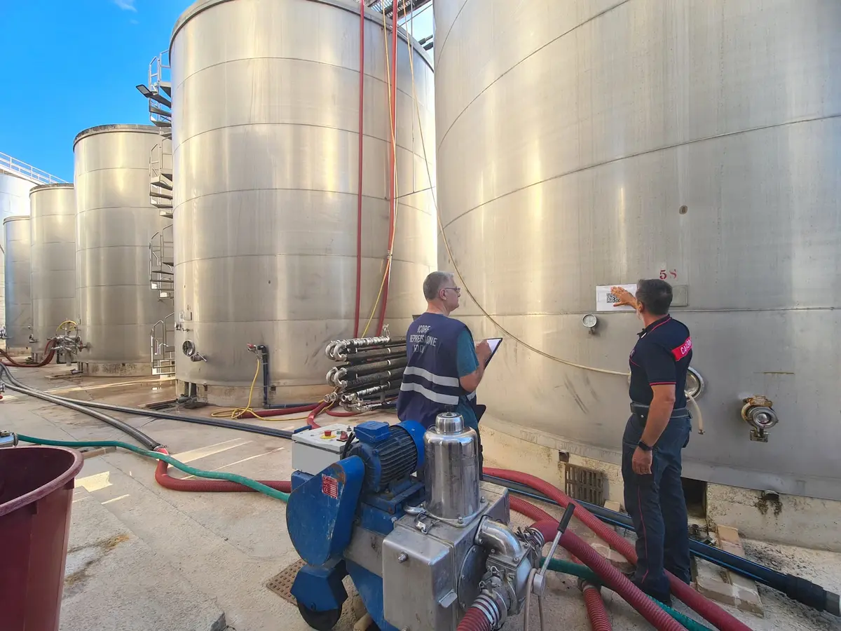Falso Primitivo scoperto in provincia di Lecce. Maxi sequestro per oltre 1,5 milioni di euro Falso Primitivo scoperto in provincia di Lecce. Maxi sequestro per oltre 1,5 milioni di euro