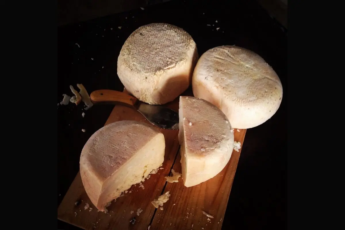 Storia e aneddoti del formaggio sepolto che resiste per tre mesi sotto terra Storia e aneddoti del formaggio sepolto che resiste per tre mesi sotto terra