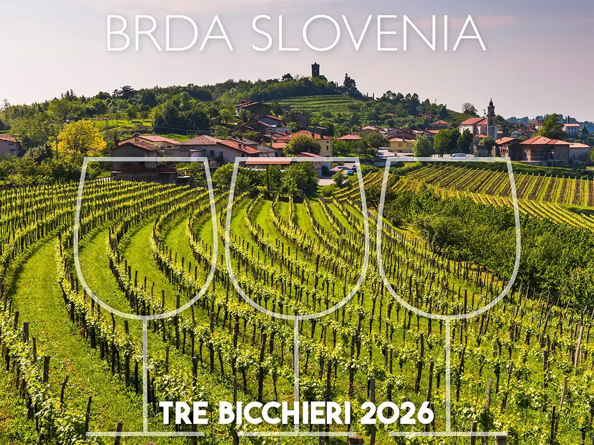 Tre Bicchieri 2026, i migliori vini di Brda in Slovenia premiati dal Gambero Rosso