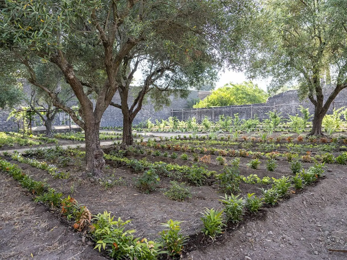 arriva un ristorante con prodotti locali tra gli scavi di pompei