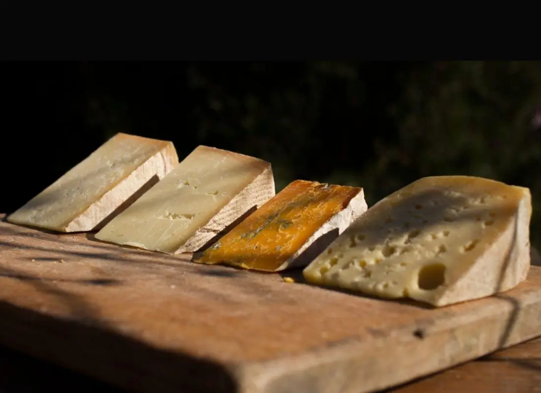 formaggi catalogna