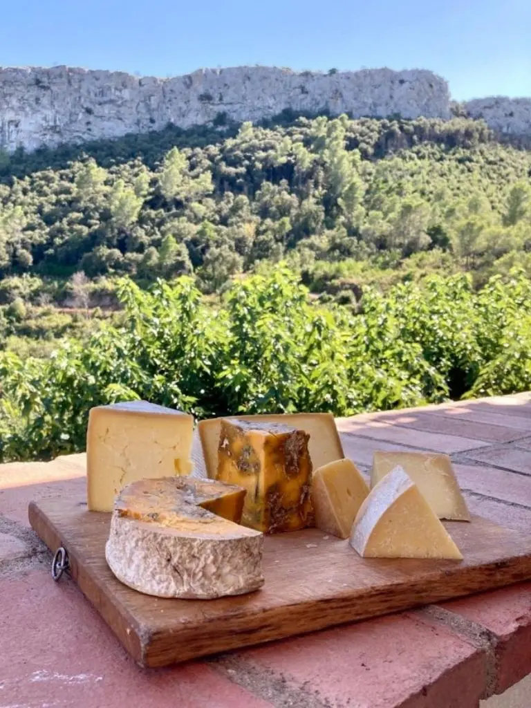 formaggi inglesi Sierra catalana