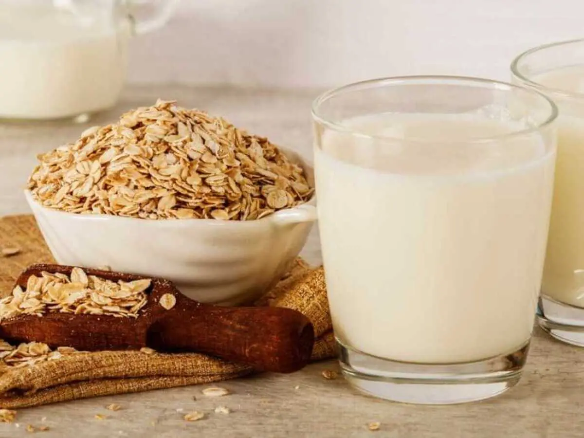 I migliori latte d’avena del supermercato. La classifica del Gambero Rosso I migliori latte d’avena del supermercato. La classifica del Gambero Rosso