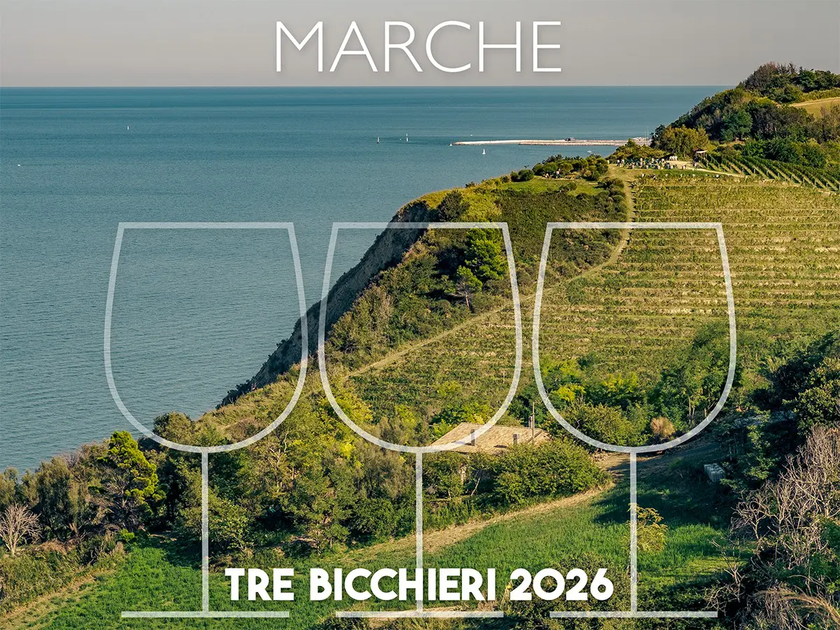 tre bicchieri 2026 i 24 migliori vini delle marche premiati dal gambero rosso