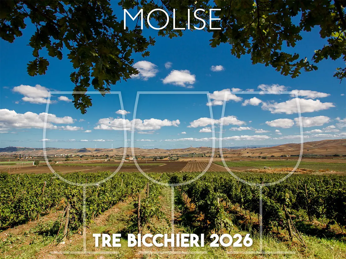 Tre Bicchieri 2026, ecco qual è il vino (poco noto) del Molise premiato per la prima volta