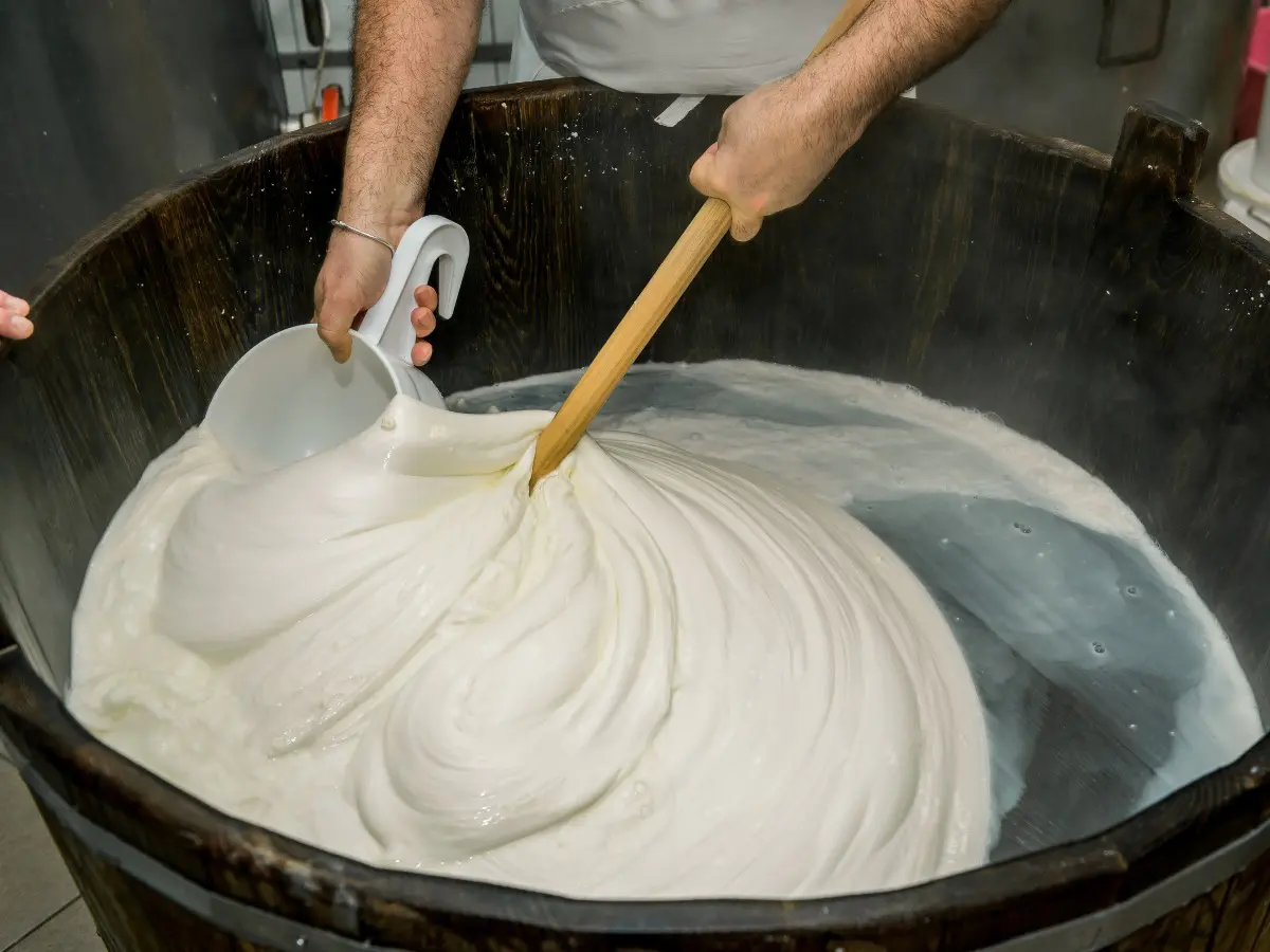 in arrivo nuove regole per la mozzarella di bufala guerra alle frodi e tracciabilit224