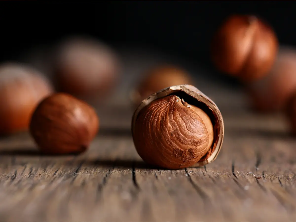 Crolla la raccolta delle nocciole. Ecco cosa sta succedendo