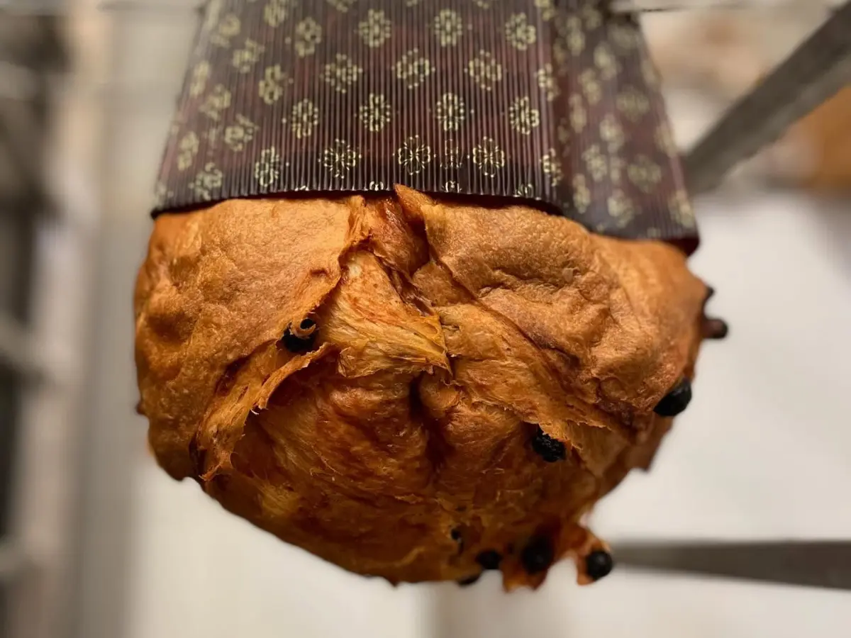 Panettone tutto l’anno? Ecco perché preferiamo aspettare Natale