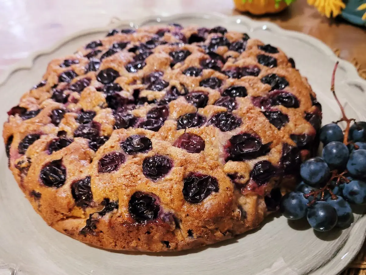 Che cos’è la torta Bertolina, il dolce autunnale preparato con l’uva fragola Che cos’è la torta Bertolina, il dolce autunnale preparato con l’uva fragola