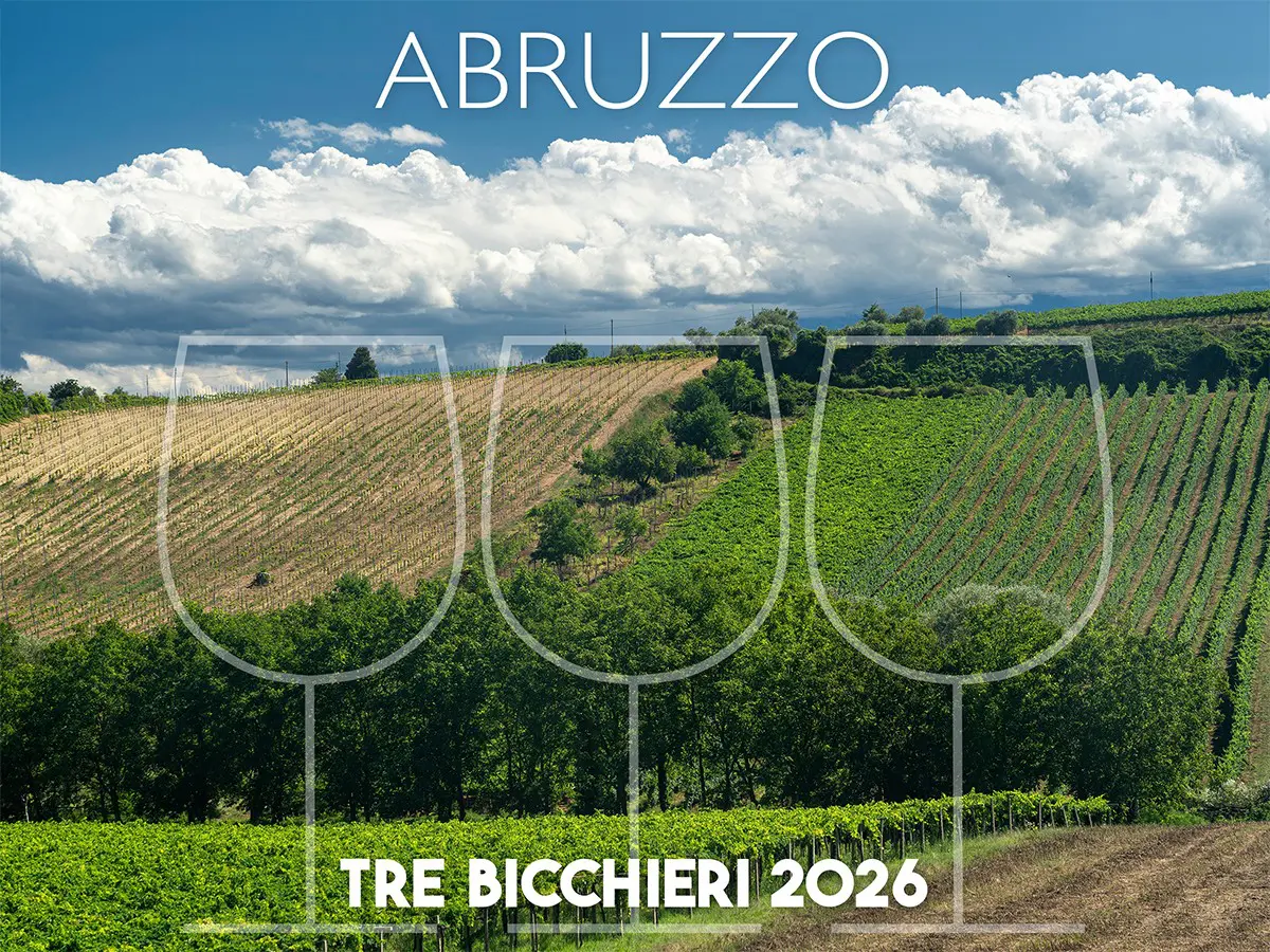 Tre Bicchieri 2026, i migliori vini dell’Abruzzo premiati dal Gambero Rosso