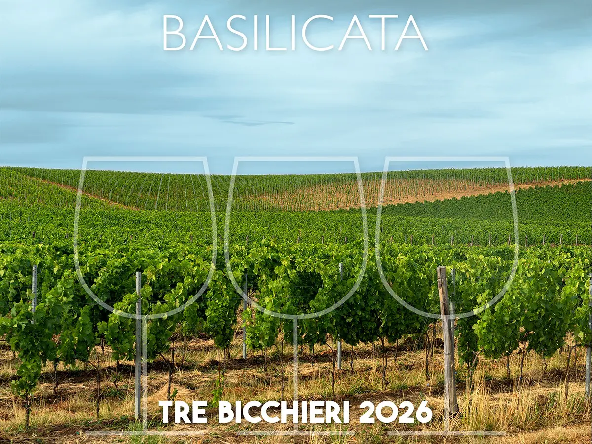 tre bicchieri 2026 i migliori vini della basilicata premiati dal gambero rosso