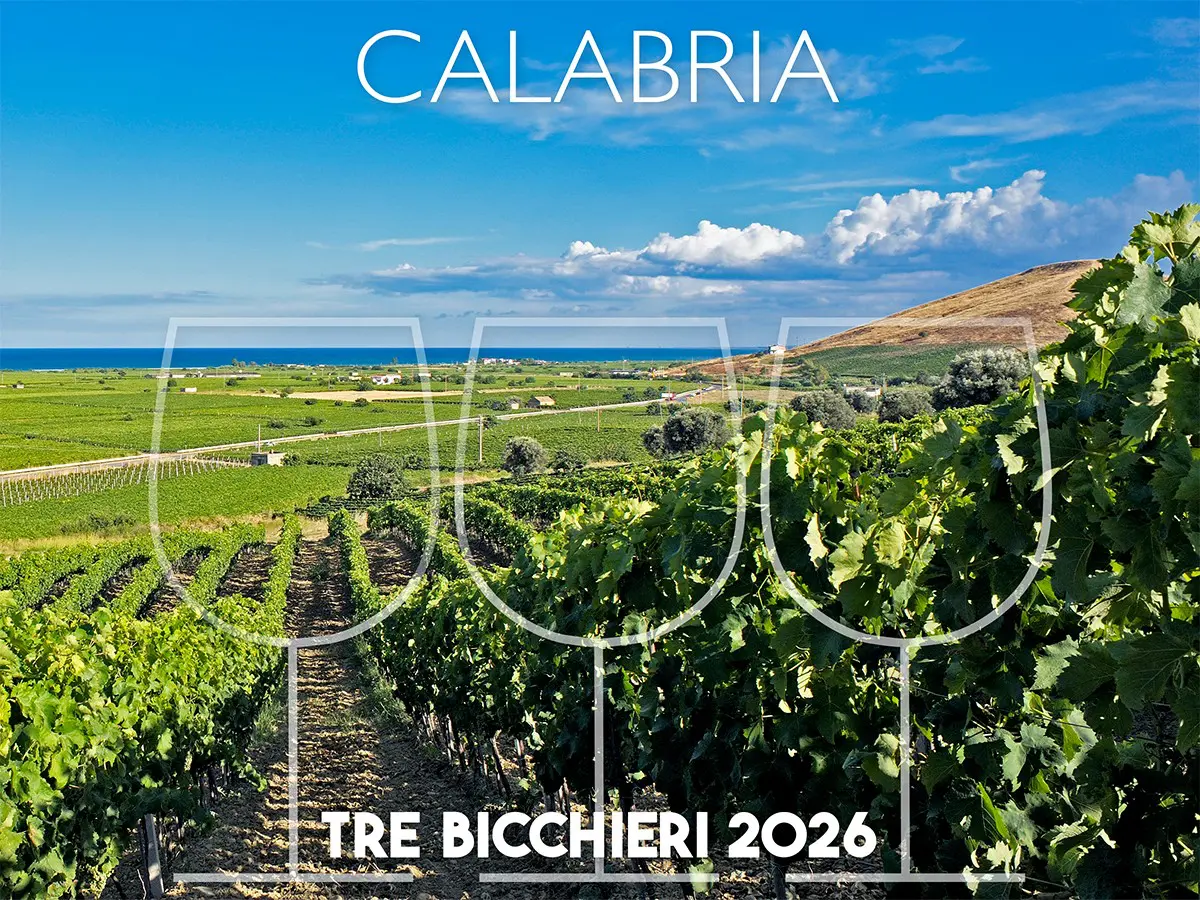 Tre Bicchieri 2026, i migliori vini della Calabria premiati dal Gambero Rosso Tre Bicchieri 2026, i migliori vini della Calabria premiati dal Gambero Rosso
