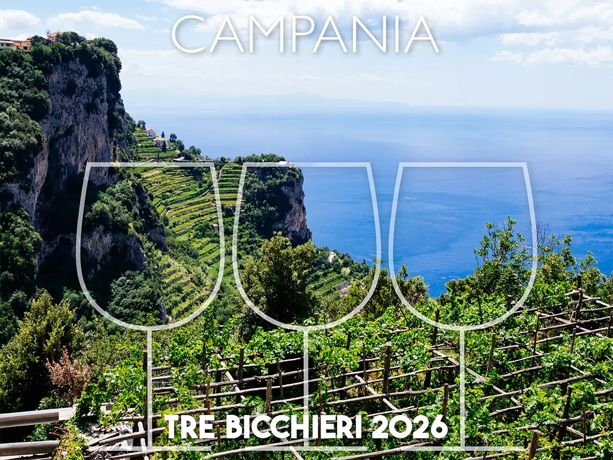 Tre Bicchieri 2026, i 20 migliori vini della Campania premiati dal Gambero Rosso