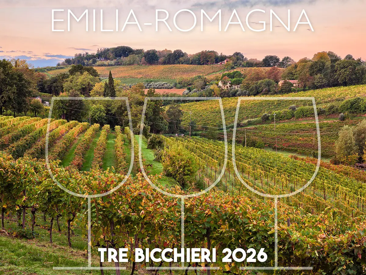 Tre Bicchieri 2026, i 16 migliori vini dell’Emilia Romagna premiati dal Gambero Rosso