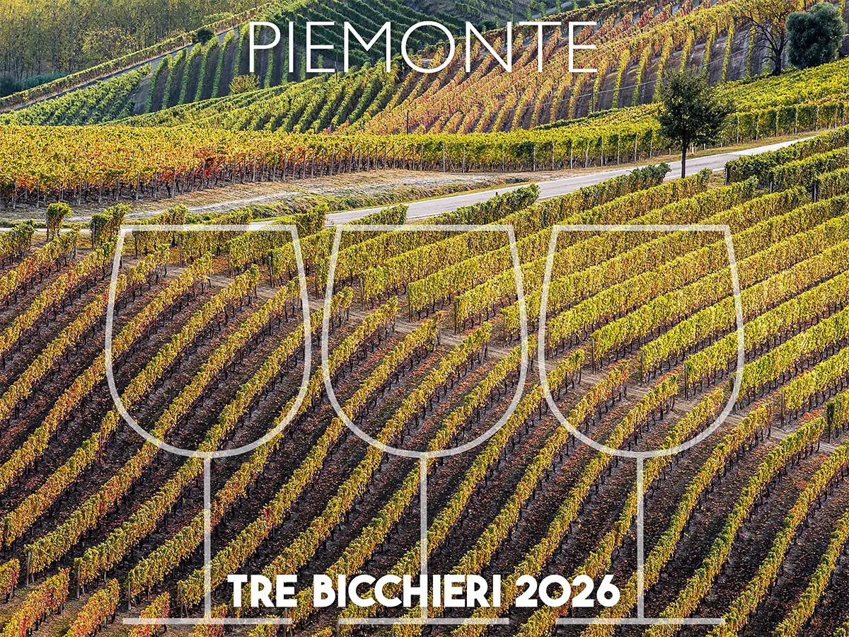 tre bicchieri 2026 i migliori vini del piemonte premiati dal gambero rosso