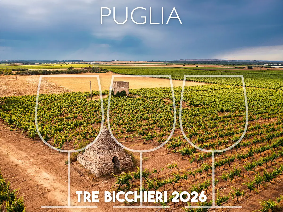 Tre Bicchieri 2026, i 26 migliori vini della Puglia premiati dal Gambero Rosso