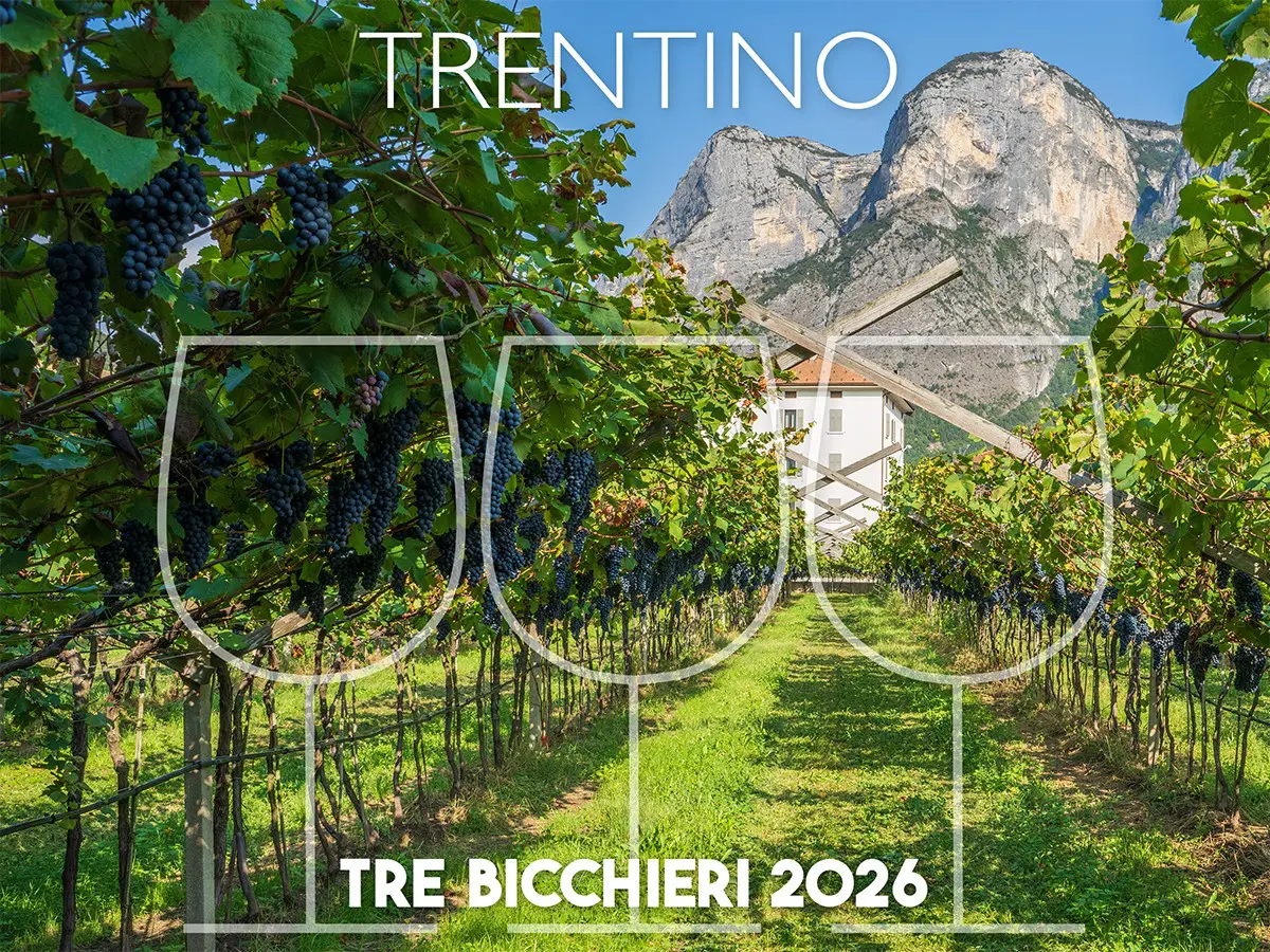 Tre Bicchieri 2026, i 13 migliori vini del Trentino premiati dal Gambero Rosso