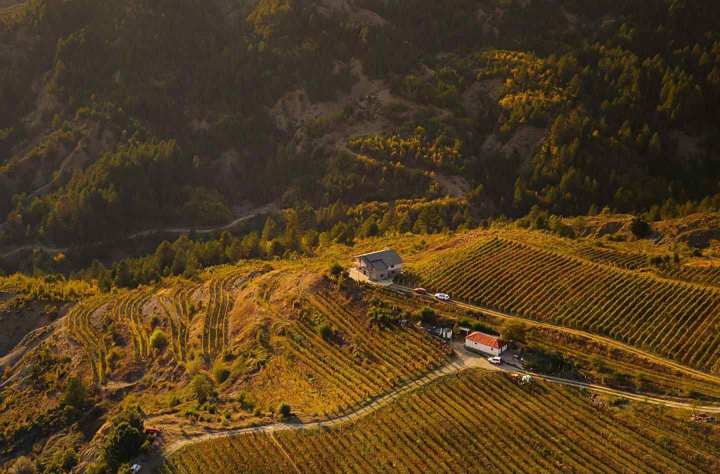 Dove nasce uno dei vini più selvaggi dell’Albania Dove nasce uno dei vini più selvaggi dell’Albania