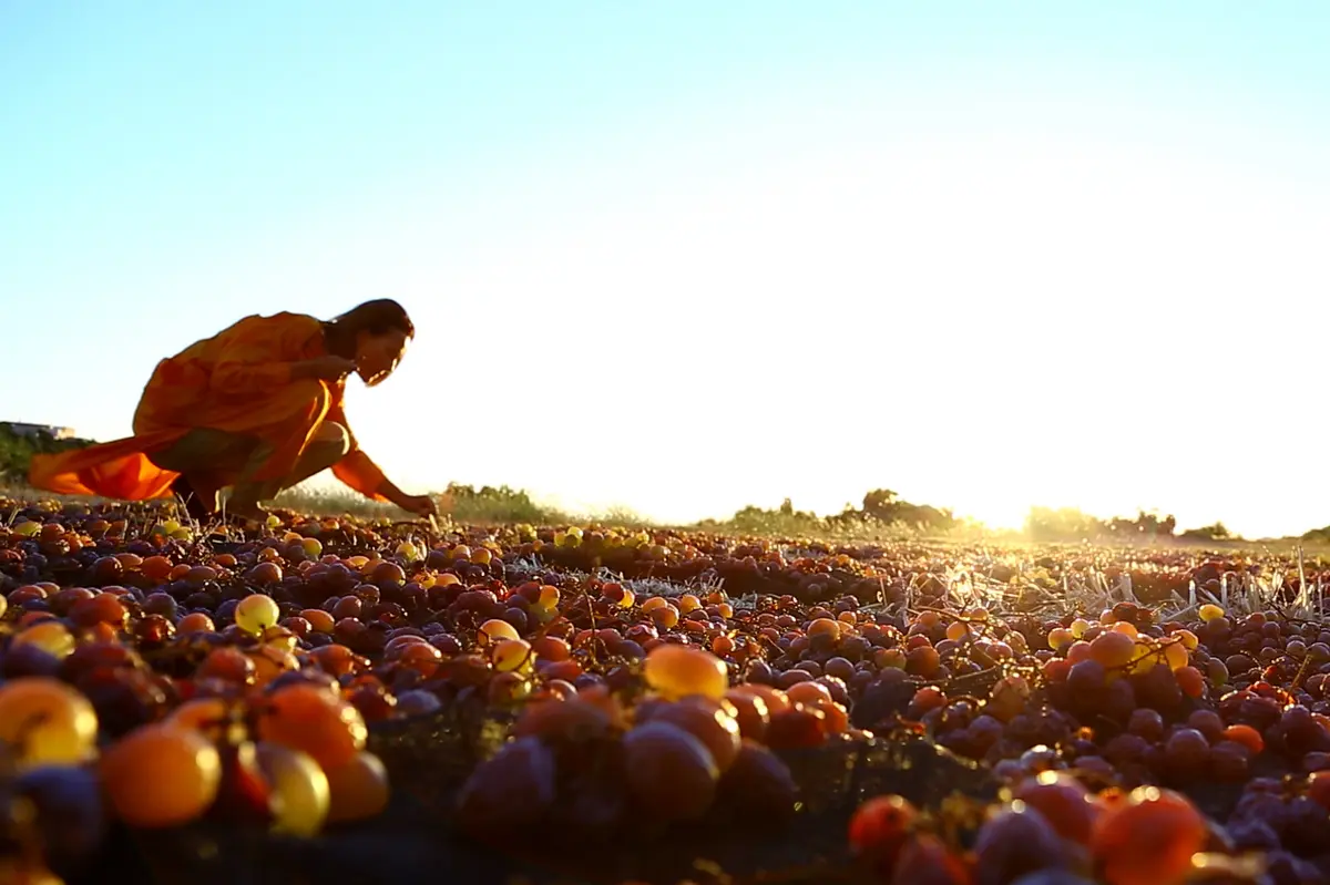 Pasqua Vini mette le mani su Pantelleria: acquisita quota della tenuta di Carole Bouquet