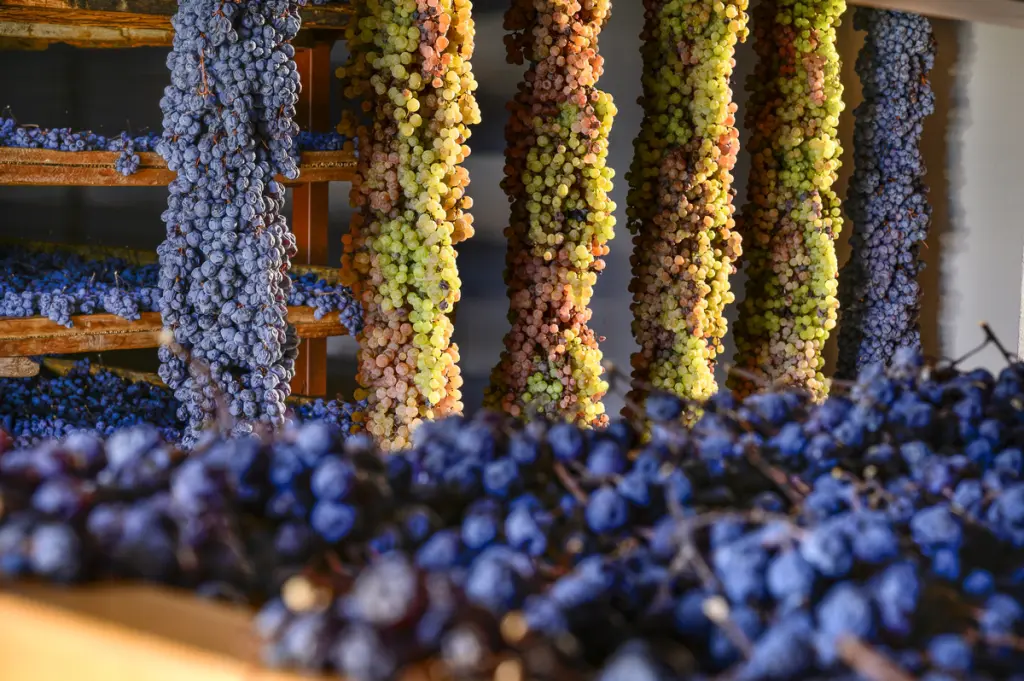 Firmato. Tenuta di Baglio Sorìa agro di Trapani