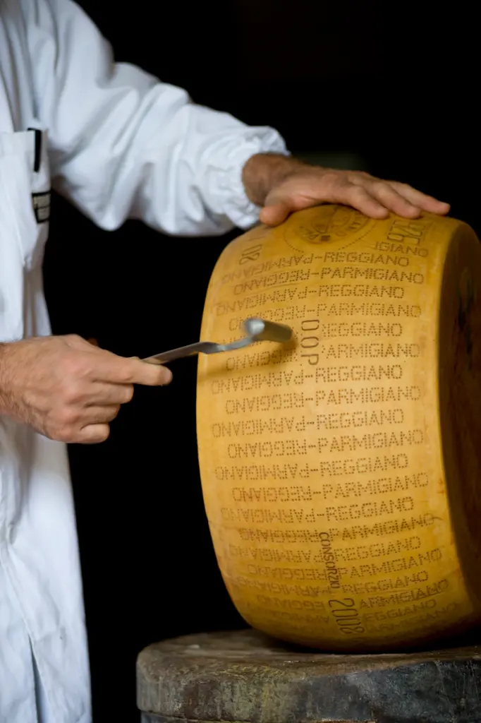 battitore Parmigiano Reggiano