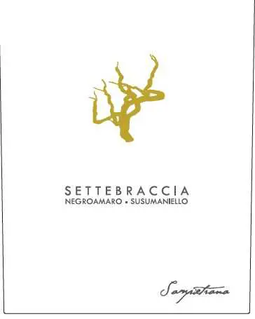 Settebraccia 2021