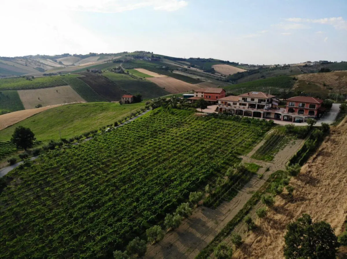 Agriturismo Emidio Pepe