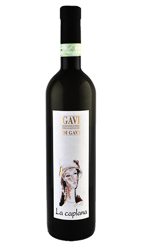 Gavi del Comune di Gavi 2024